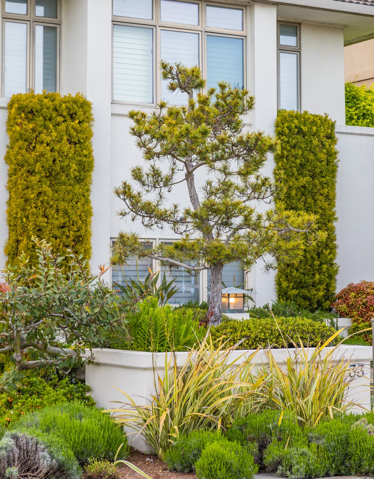 Trimmed hedges and planting bed design
