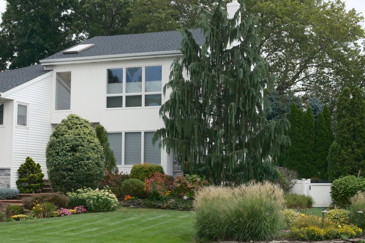Well-maintained front yard landscaping