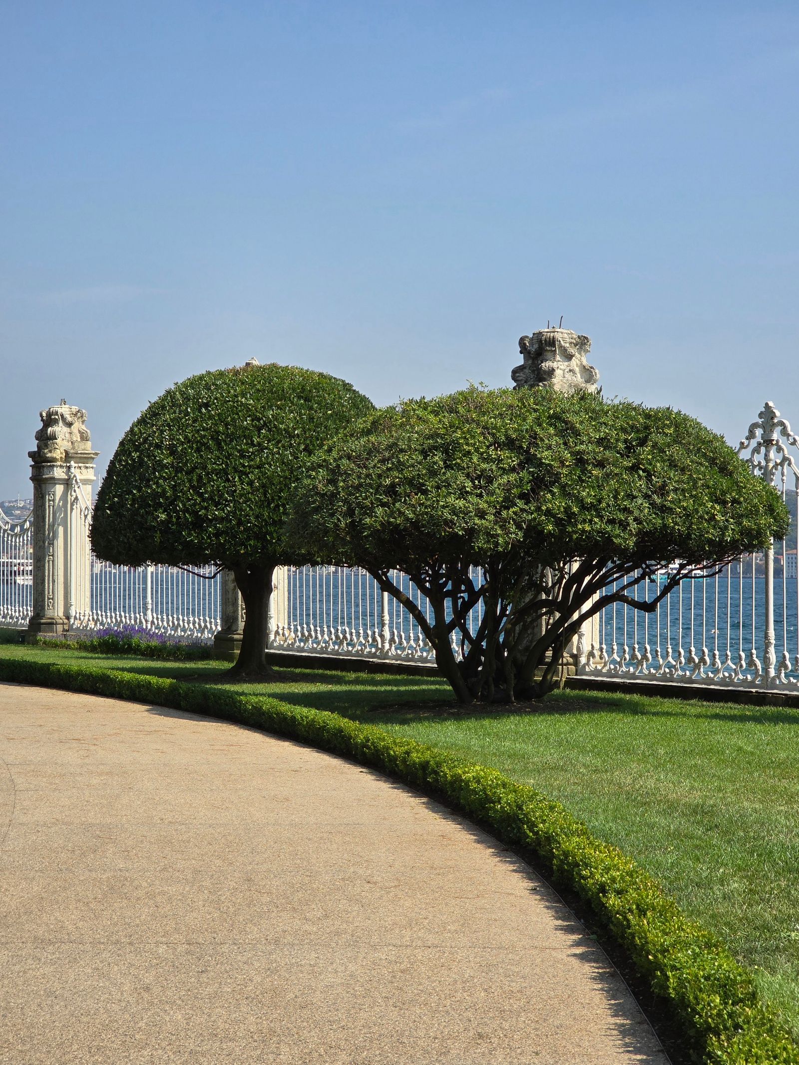 Shaped hedges along a garden path